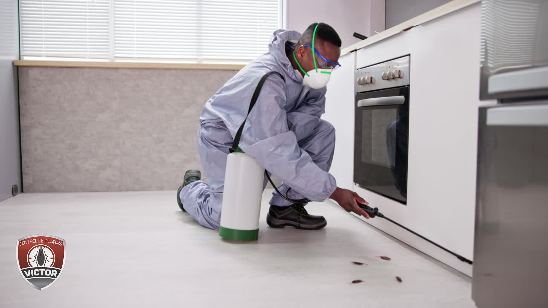 Fumigación Residencial